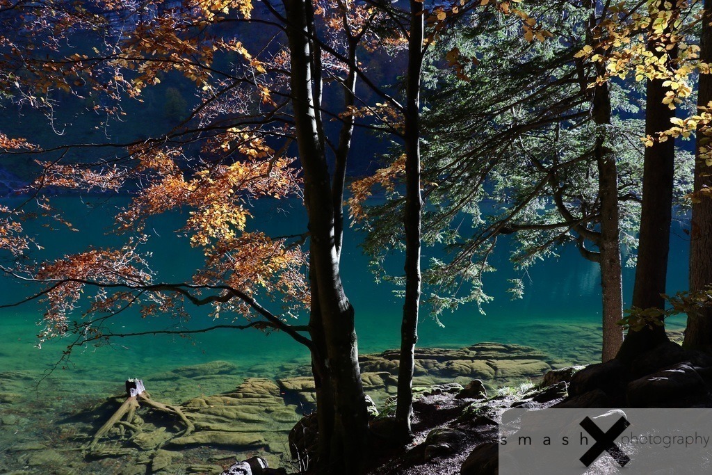 Autumn Lake 01 | Seealpsee (Switzerland/Schweiz)