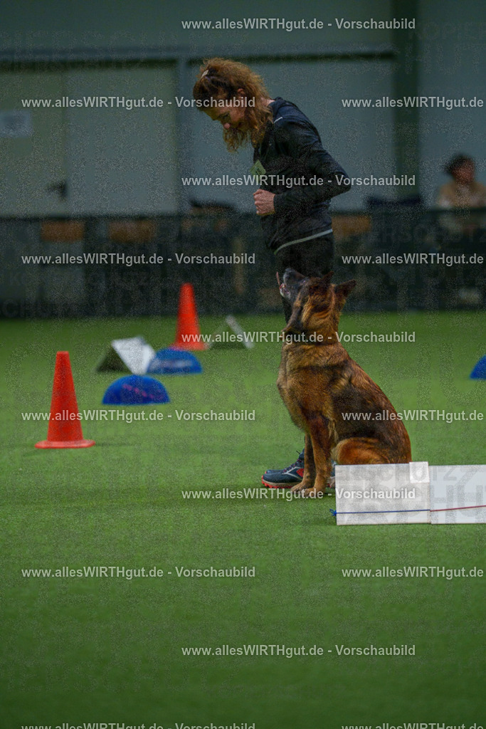 7R505652 | Professionelle Tierfotografie in Mönchengladbach von Daniel Wirth (allesWIRTHgut). Liebevolle & natürliche Bilder von Hunden & Katzen für unvergessliche Erinnerungen.