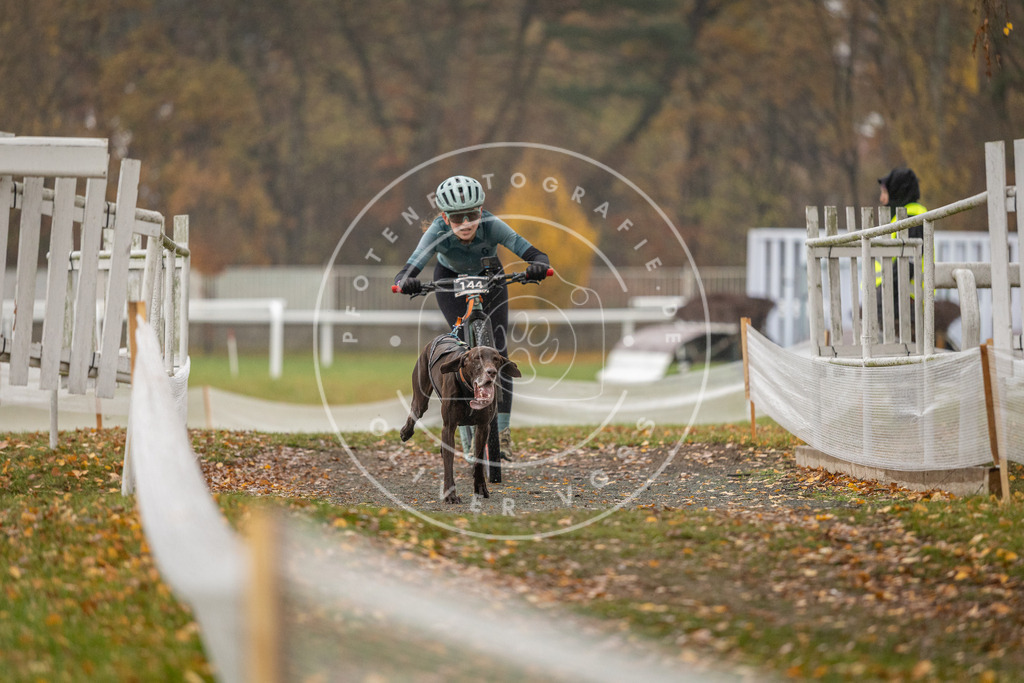 CaniXpix_DV3A7968 | Hundefotografie, Tierfotograf, Pfotenfotografie, Fotoshooting Hund, Hunde Portrait, Hundesport, Hundeportraits, Heideshooting, Hunde, Sportfotograf, Hundefotograf, Turnierhundsport, THS,  - Realisiert mit Pictrs.com