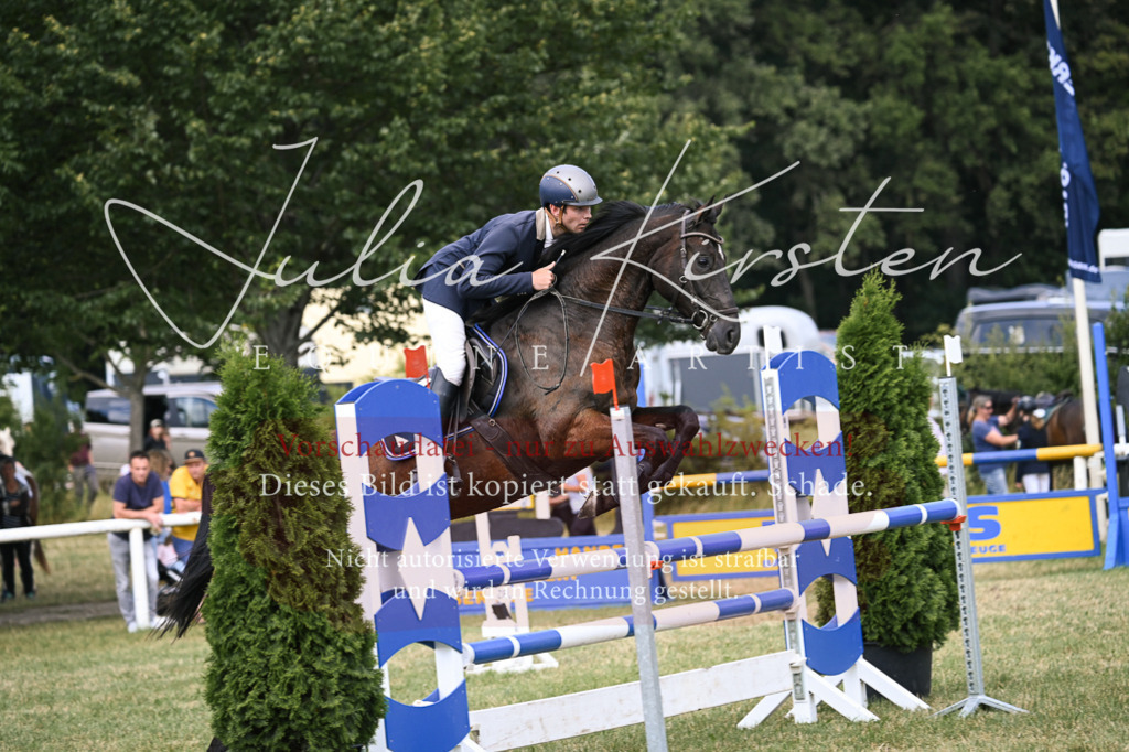 DSC_0636 | Pferde- und Turnierfotografie in Westsachsen. Pferdeportraits, Auftragszeichnungen und intuitive Kunst.