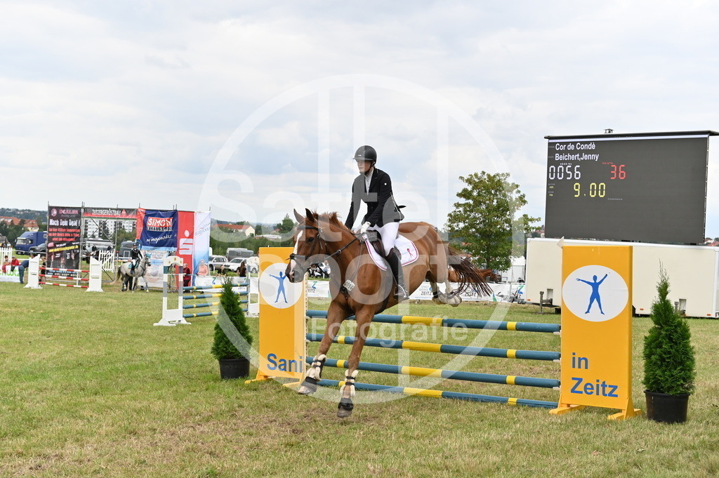 DSC_3482 | sattelsport - Realisiert mit Pictrs.com