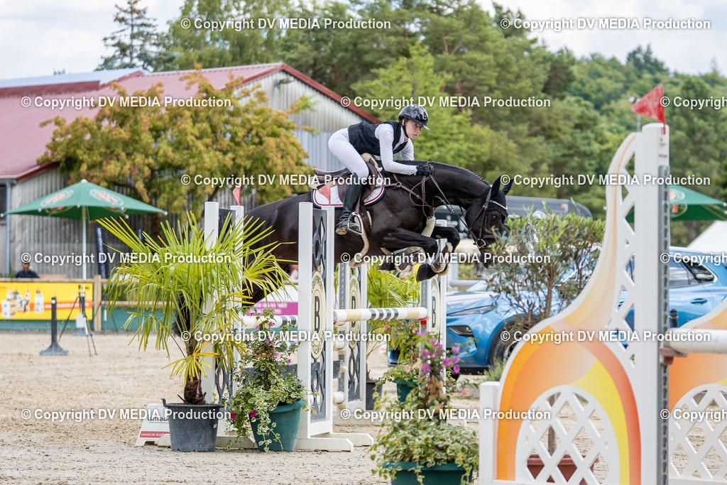 Hessische Tag 1-876 | dv-media-shop - Realisiert mit Pictrs.com