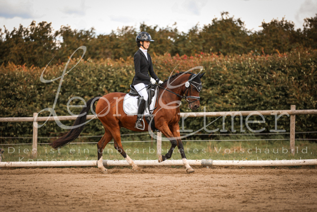 15.SaDrL00346 | Leoni Ertmer Photography - Realisiert mit Pictrs.com