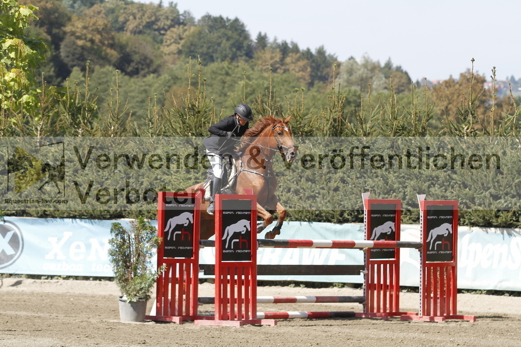 _MG_6386 | equestrian-live-com