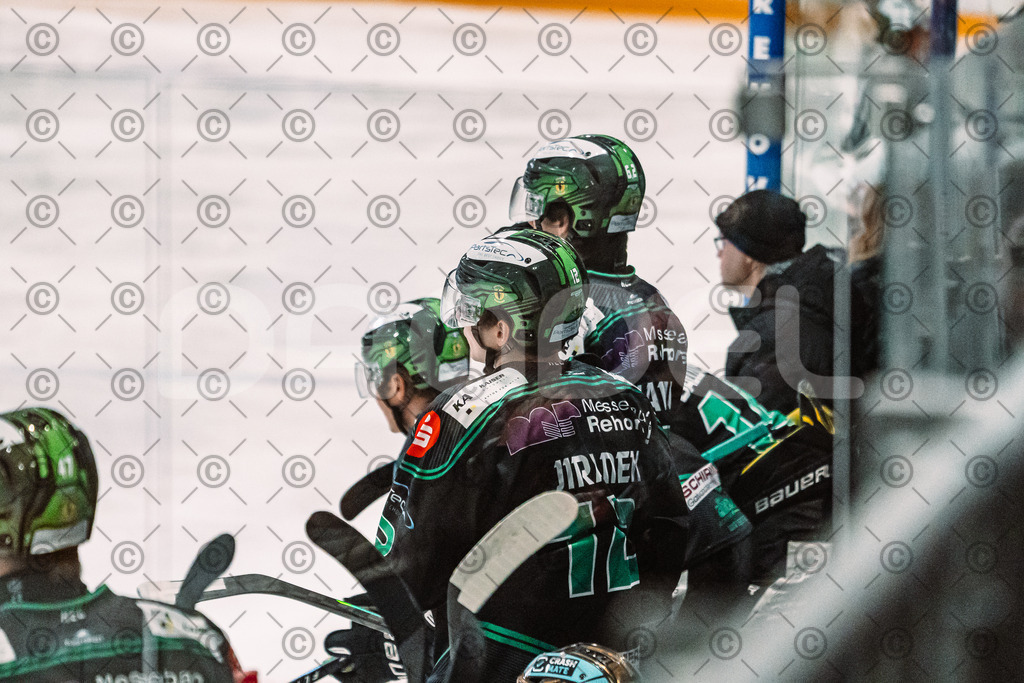 Alligators_vs_Erding_12_12_2025-043 | Höchstadt Alligators Fotogalerie: Eishockey-Action aus Franken. Professionelle Spielfotos, Portraits & Stadionbilder zum Download. Jetzt entdecken! - Realisiert mit Pictrs.com