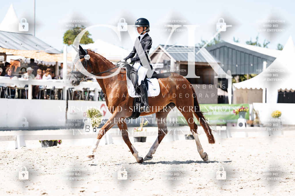 CK900491 | Turnierfotografie Pferdefotografie Trier Rheinland-Pfalz Pferdesport Reitsport Tierfotografie Sportfotografie Pferdevideo Pferdevideografie Equestrianvideography equestrianphotography  - Realisiert mit Pictrs.com