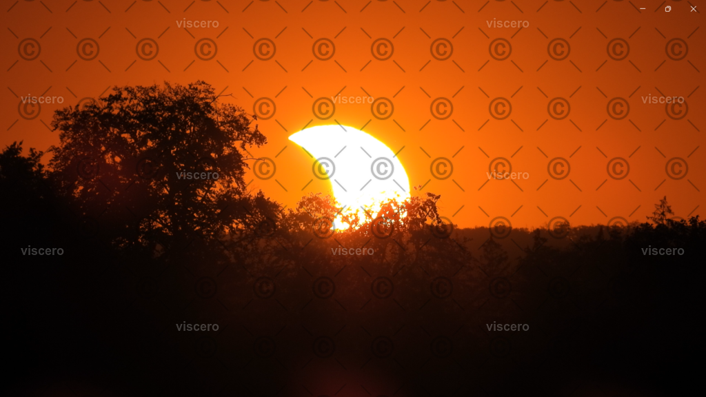 Screenshot 2026-08-13 235626 - Kopiert (2) | viscero