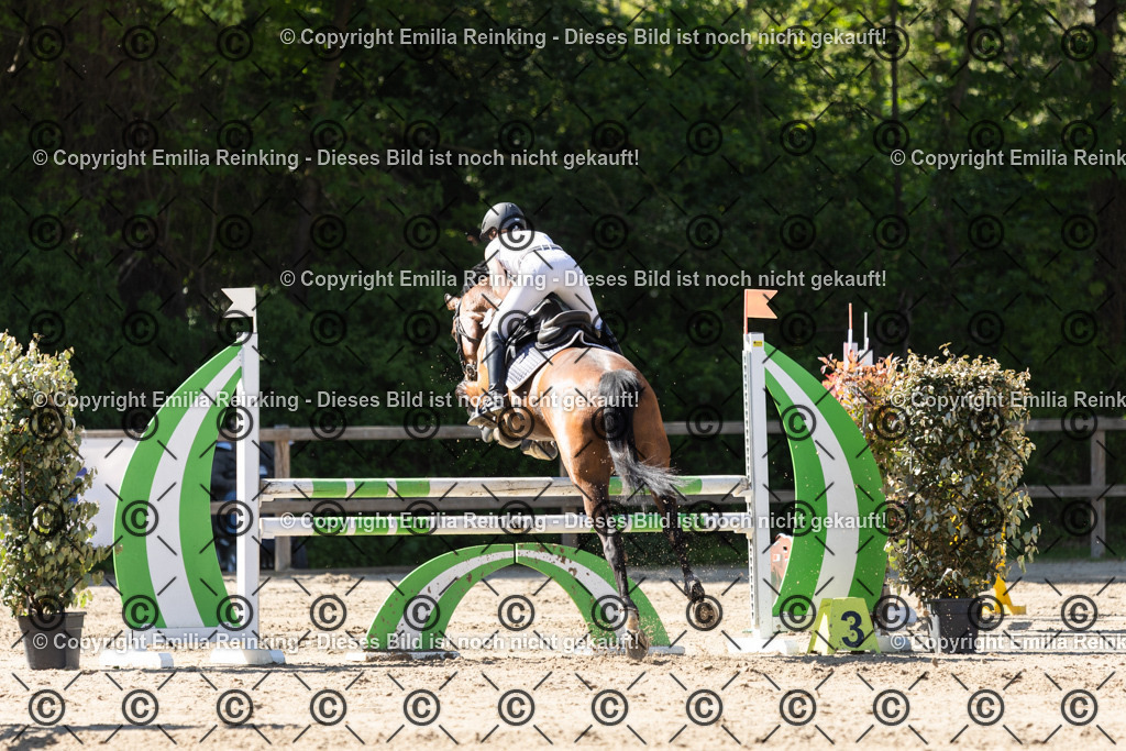 CL5A3154 | Emilia Reinking Fotografie - Realisiert mit Pictrs.com