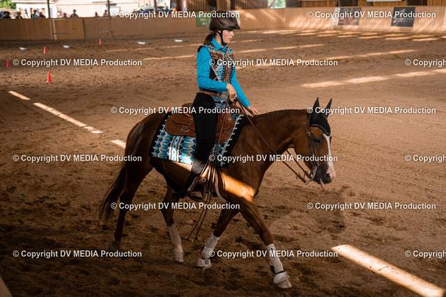 NE101138 | dv-media-shop - Realized with Pictrs.com