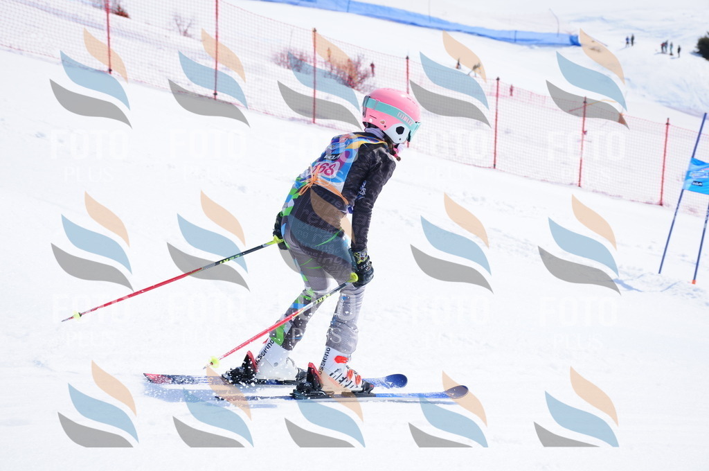 DSC_5456 | holidayphoto