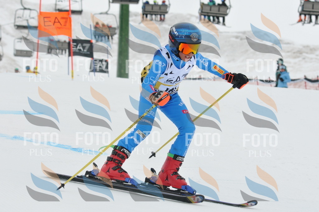 DSC_8960 | holidayphoto