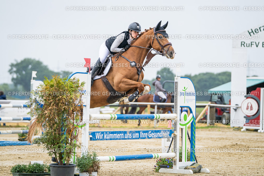 DSC02039 | Pferdegrafie