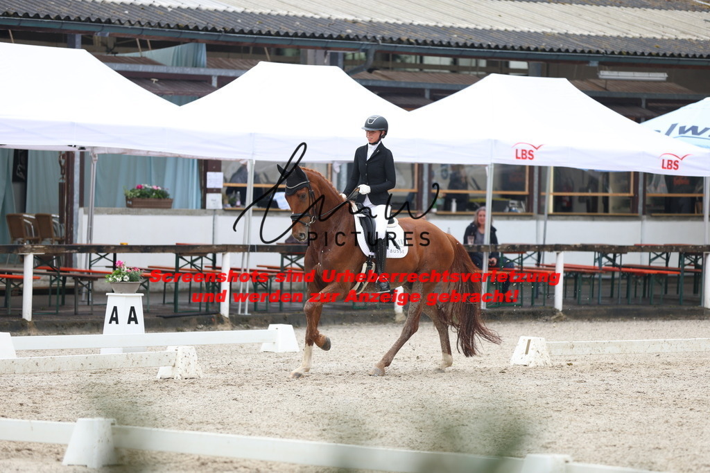 A40A8296 | lmwpictures - Realisiert mit Pictrs.com