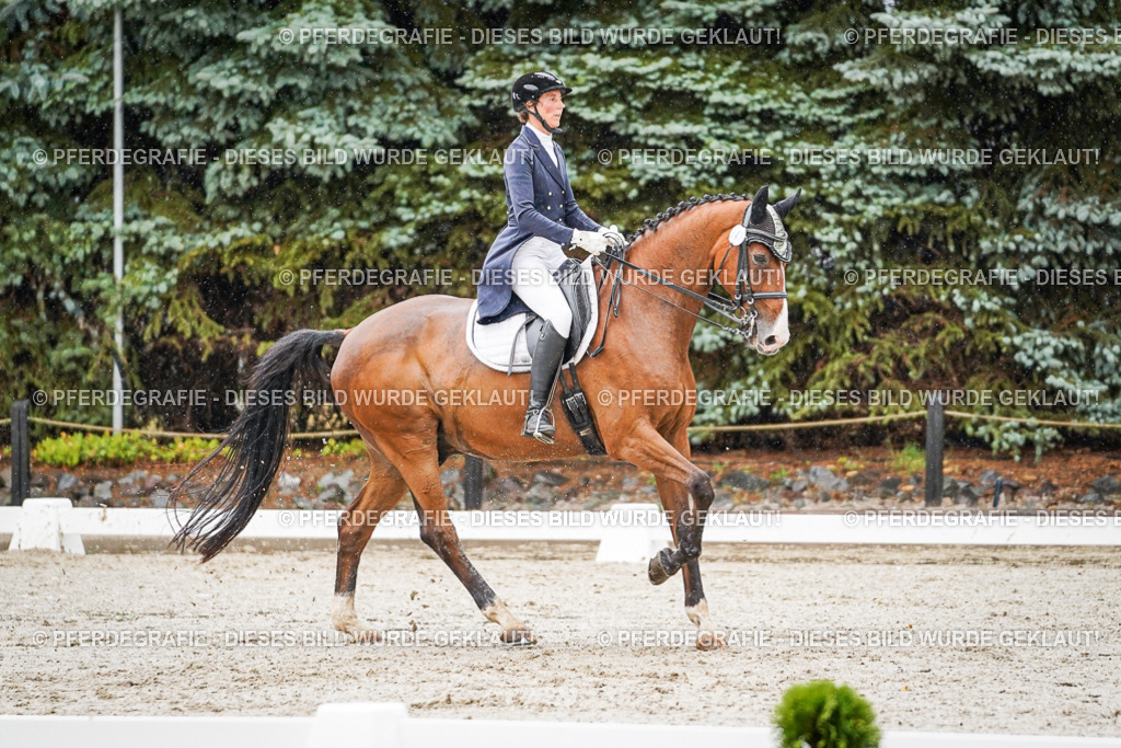 DSC08532 | Pferdegrafie