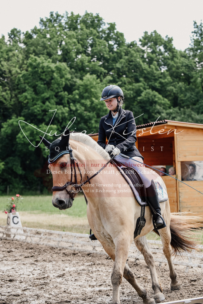 DSC_1629 | Pferde- und Turnierfotografie in Westsachsen. Pferdeportraits, Auftragszeichnungen und intuitive Kunst.
