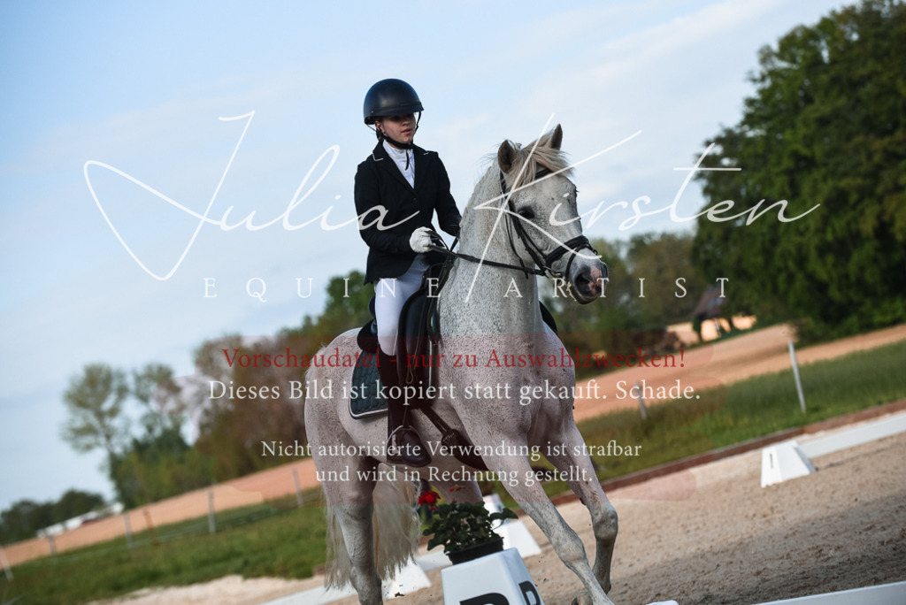 20230518_JK-Röhrsdorf-12-1242 | Pferde- und Turnierfotografie in Westsachsen. Pferdeportraits, Auftragszeichnungen und intuitive Kunst.