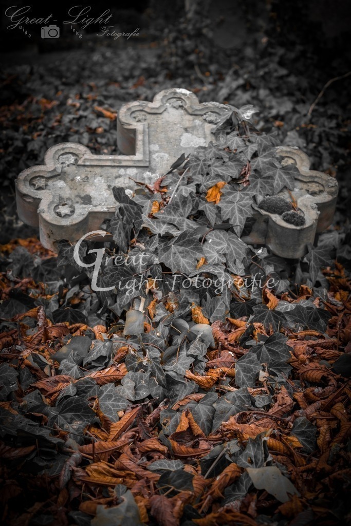 a-0906 | Great-Light Fotografie - Realisiert mit Pictrs.com