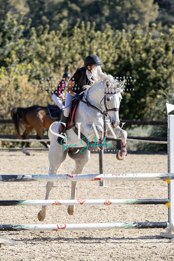 IMG_6531 | s-jay-photography - Realisiert mit Pictrs.com