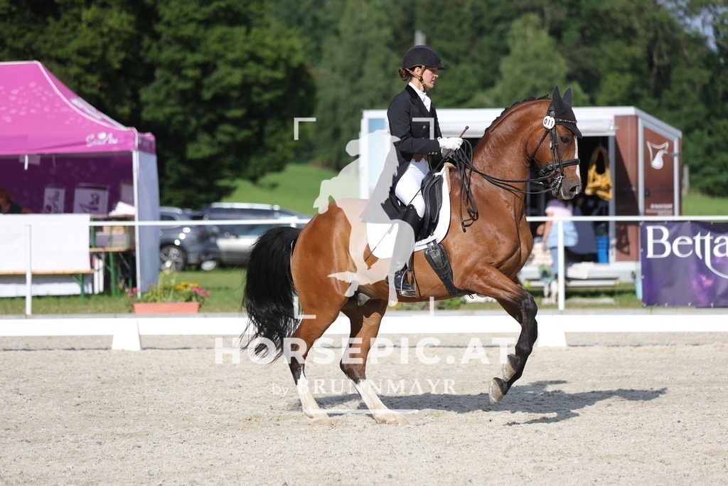 0P6A7126 | Willkommen bei Brunnmayr - Design & Fotografie – Ihrem Spezialisten für Reitturniere und Pferdeveranstaltungen in Oberösterreich, Salzburg und Bayern! Seit über 17 Jahren sind wir leidenschaftlich dabei.