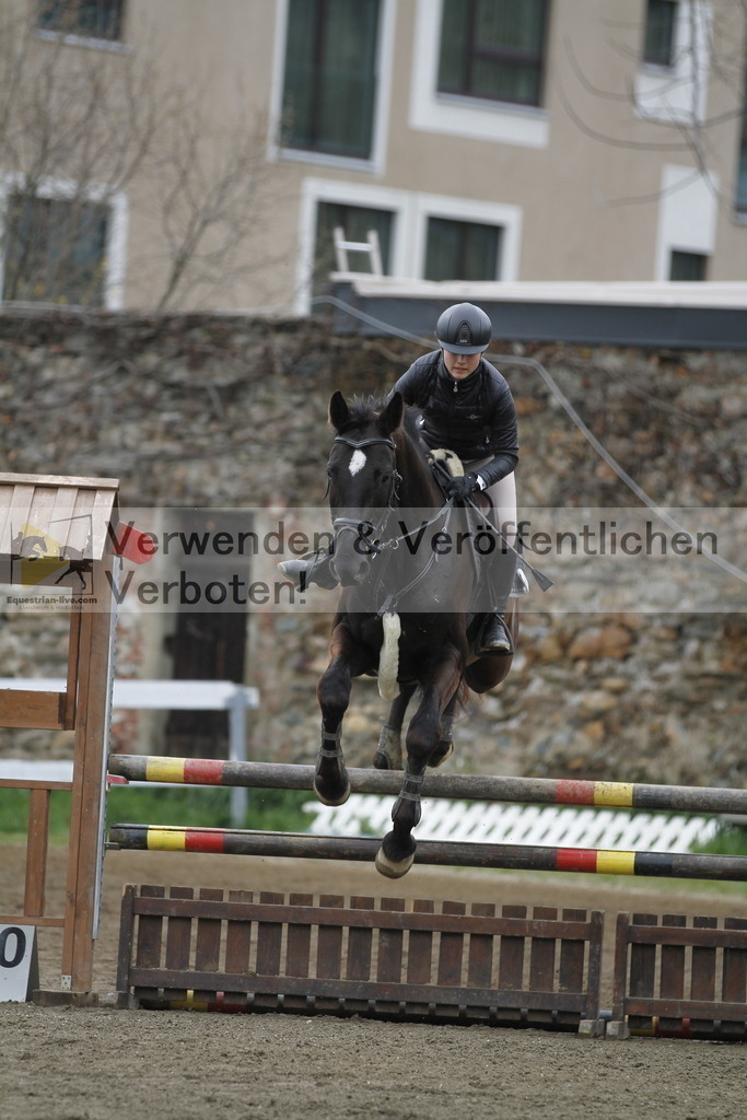 _MG_5916 | equestrian-live-com