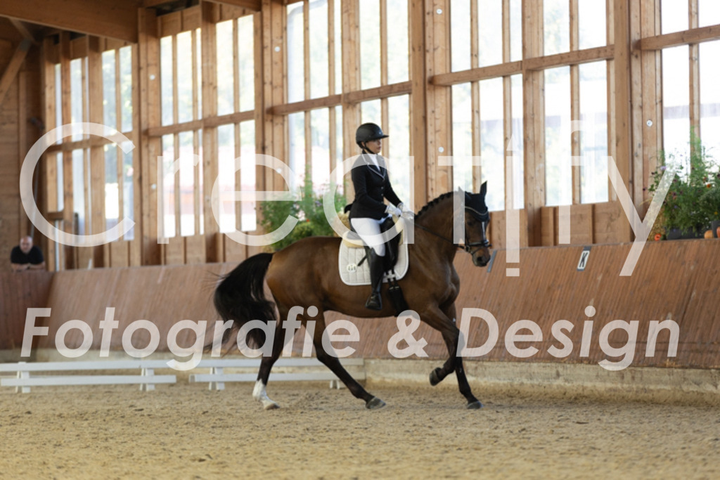 IMG_9403 | Creatify Fotografie