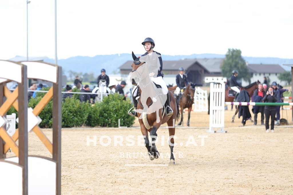 0P6A4239 | Willkommen bei Brunnmayr - Design & Fotografie – Ihrem Spezialisten für Reitturniere und Pferdeveranstaltungen in Oberösterreich, Salzburg und Bayern! Seit über 17 Jahren sind wir leidenschaftlich dabei.