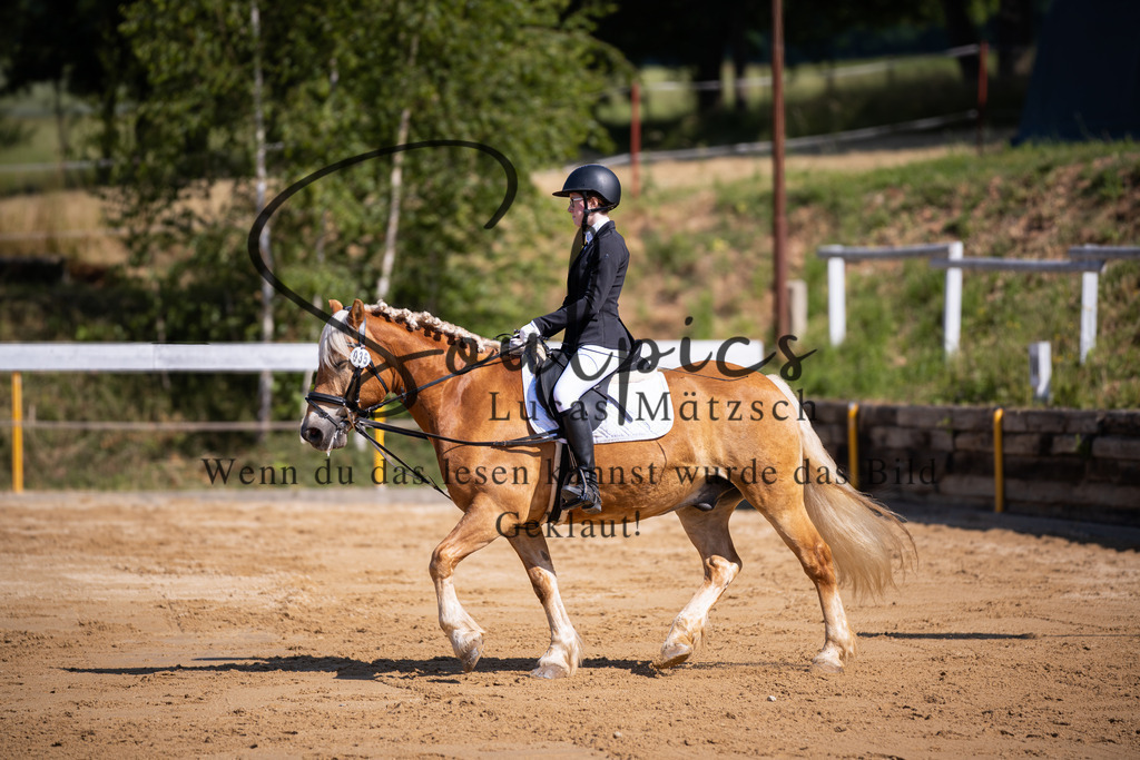 A7V07761 | Turnier/Reitfotograf