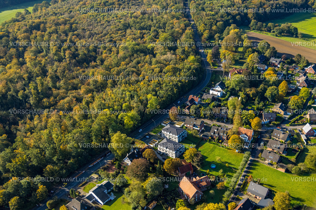 Selm241011236Cappenberg | Luftbild, Wohnsiedlung am Waldrand Borker Straße, Cappenberg, Selm, Münsterland, Nordrhein-Westfalen, Deutschland