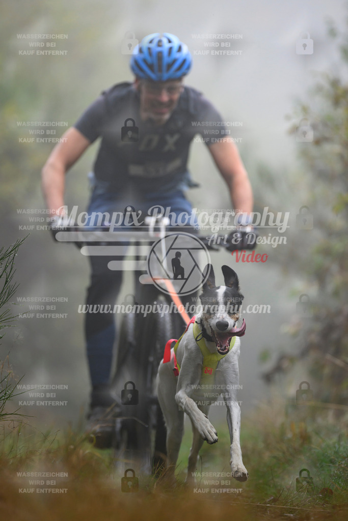 MompixPhotography_20TSB_E4_Bike-114 | PayLife