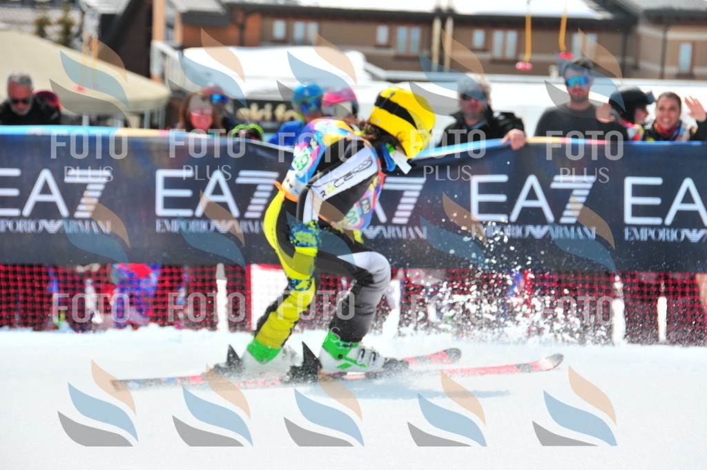 DSC_2799 | holidayphoto