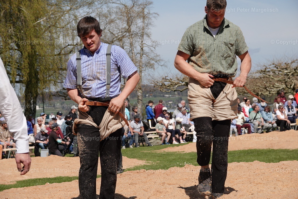DSC02322 | Schwingen - Realisiert mit Pictrs.com