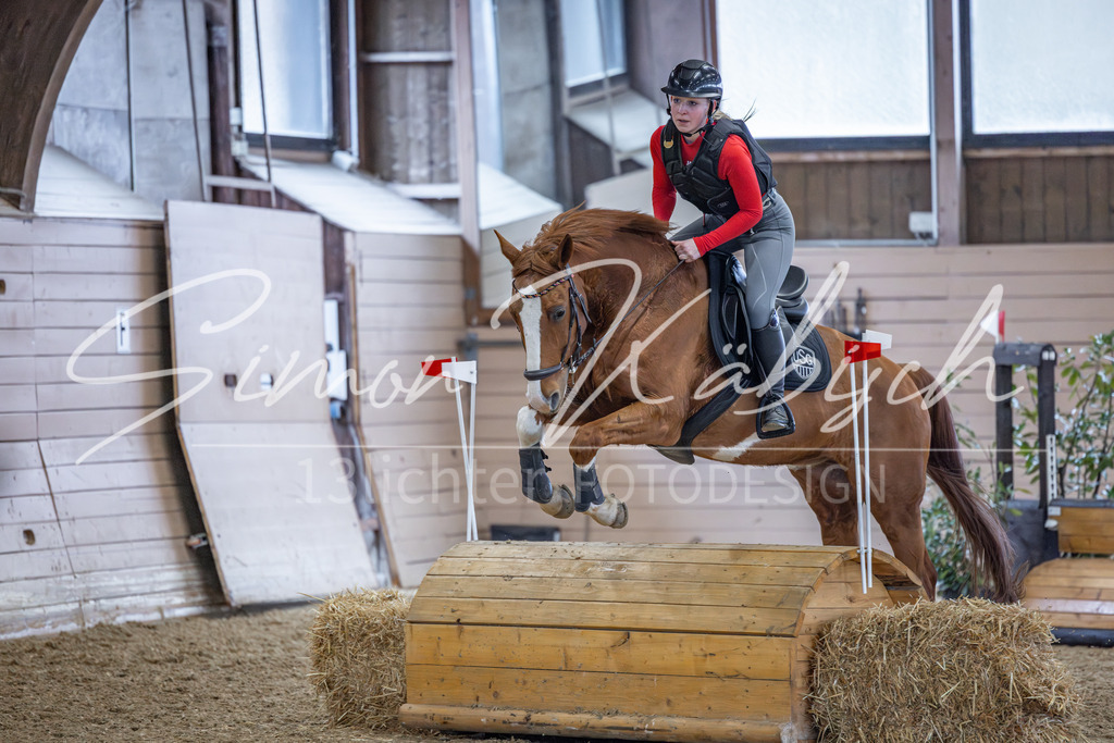 20260221-_3LI9255 | Tierfotografie Pferde, Hunde, Katzen, Haustiere.
Turnierfotografie Reitturniere, Reiten, Springreiten, Dressur in Hanau, dem Main-Kinzig-Kreis und dem Rhein-Main- Gebiet um Frankfurt