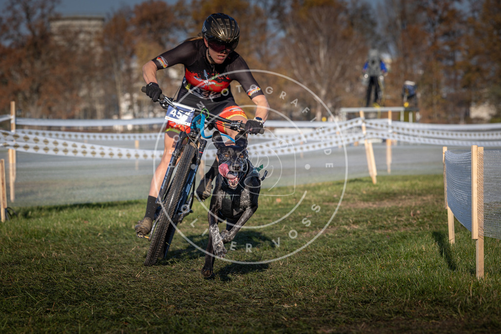 CaniXpix_0L8A4448 | Hundefotografie, Tierfotograf, Pfotenfotografie, Fotoshooting Hund, Hunde Portrait, Hundesport, Hundeportraits, Heideshooting, Hunde, Sportfotograf, Hundefotograf, Turnierhundsport, THS,  - Realisiert mit Pictrs.com