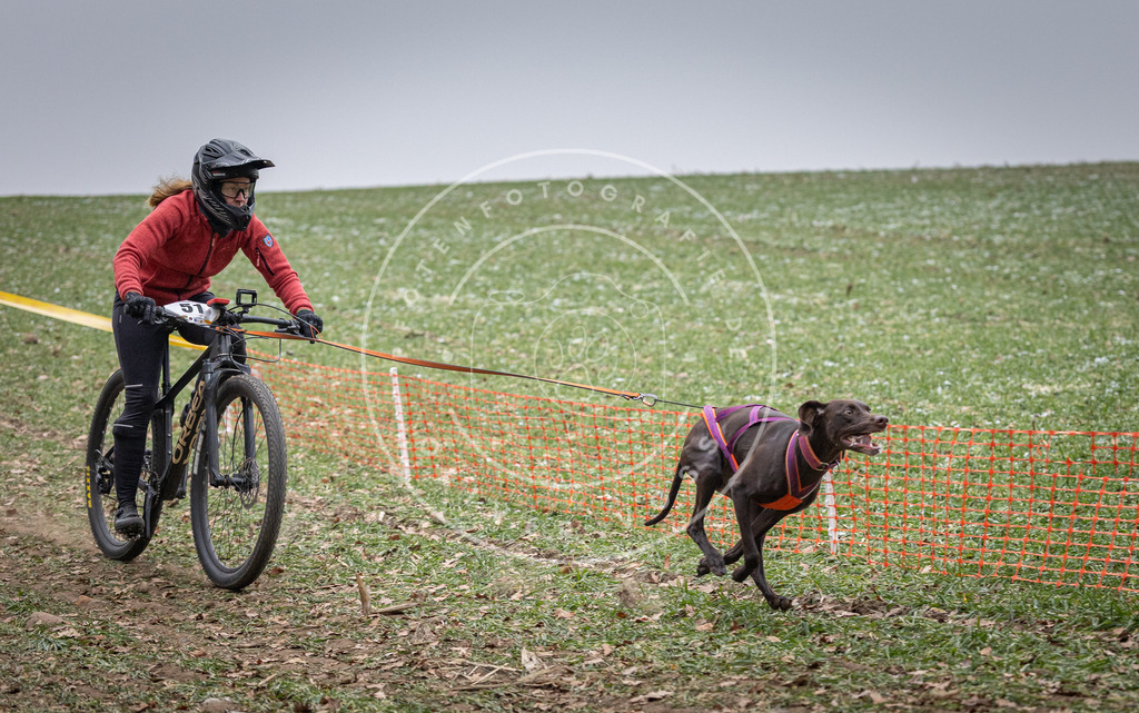 Pfotenfotografie_DV3A1100 | Hundefotografie, Tierfotograf, Pfotenfotografie, Fotoshooting Hund, Hunde Portrait, Hundesport, Hundeportraits, Heideshooting, Hunde, Sportfotograf, Hundefotograf, Turnierhundsport, THS,  - Realisiert mit Pictrs.com