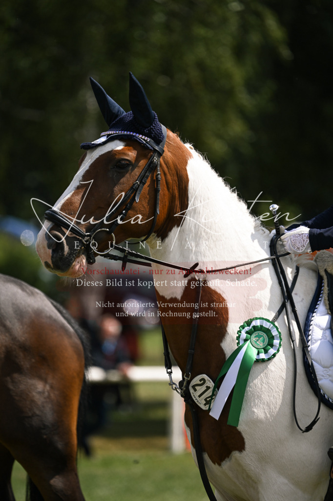 DSC_9192 | Pferde- und Turnierfotografie in Westsachsen. Pferdeportraits, Auftragszeichnungen und intuitive Kunst.