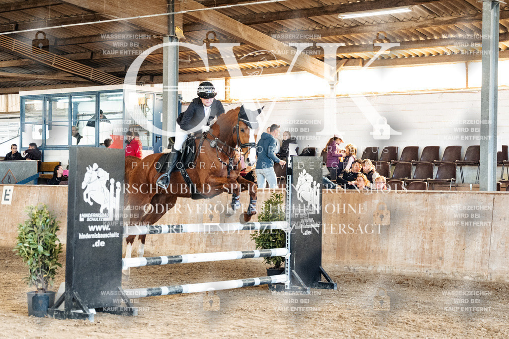 CK905040 | Turnierfotografie Pferdefotografie Trier Rheinland-Pfalz Pferdesport Reitsport Tierfotografie Sportfotografie Pferdevideo Pferdevideografie Equestrianvideography equestrianphotography  - Realisiert mit Pictrs.com