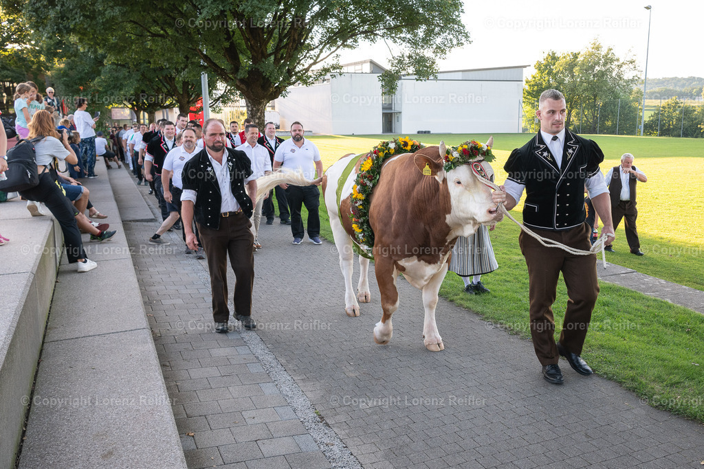 Schwingen -  Unspunnen Empfang 2023 | Wigoltingen, 2.9.23, Schwingen - Unspunnen Empfang.