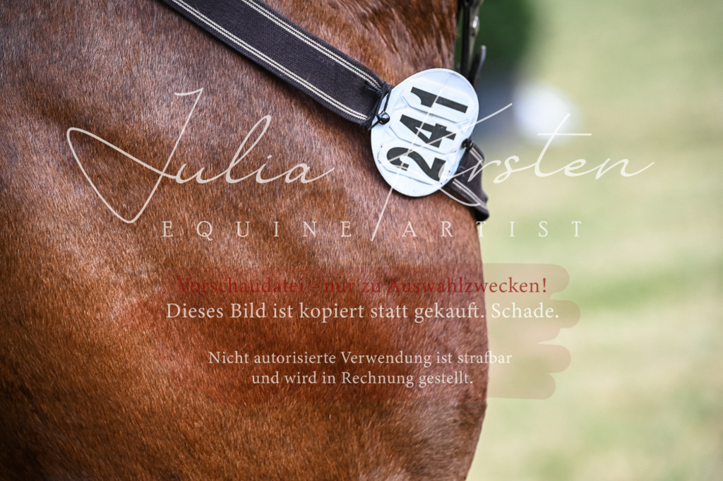 DSC_8049 | Pferde- und Turnierfotografie in Westsachsen. Pferdeportraits, Auftragszeichnungen und intuitive Kunst.