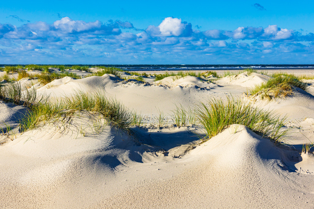 Landschaft mit Dünen am Strand auf der Nordseeinsel Amrum | Landschaft mit Dünen am Strand auf der Nordseeinsel Amrum.                    