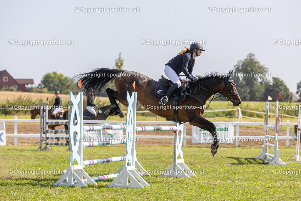 240831-VW-IS6A4168 | Sportfoto SH - Realisiert mit Pictrs.com