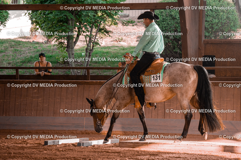 NE300009 | dv-media-shop - Realisiert mit Pictrs.com