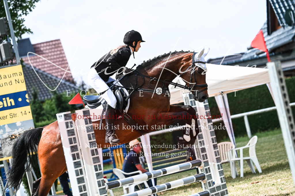 DSC_9390 | Pferde- und Turnierfotografie in Westsachsen. Pferdeportraits, Auftragszeichnungen und intuitive Kunst.