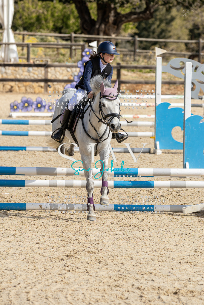 IMG_4310 | s-jay-photography - Realisiert mit Pictrs.com