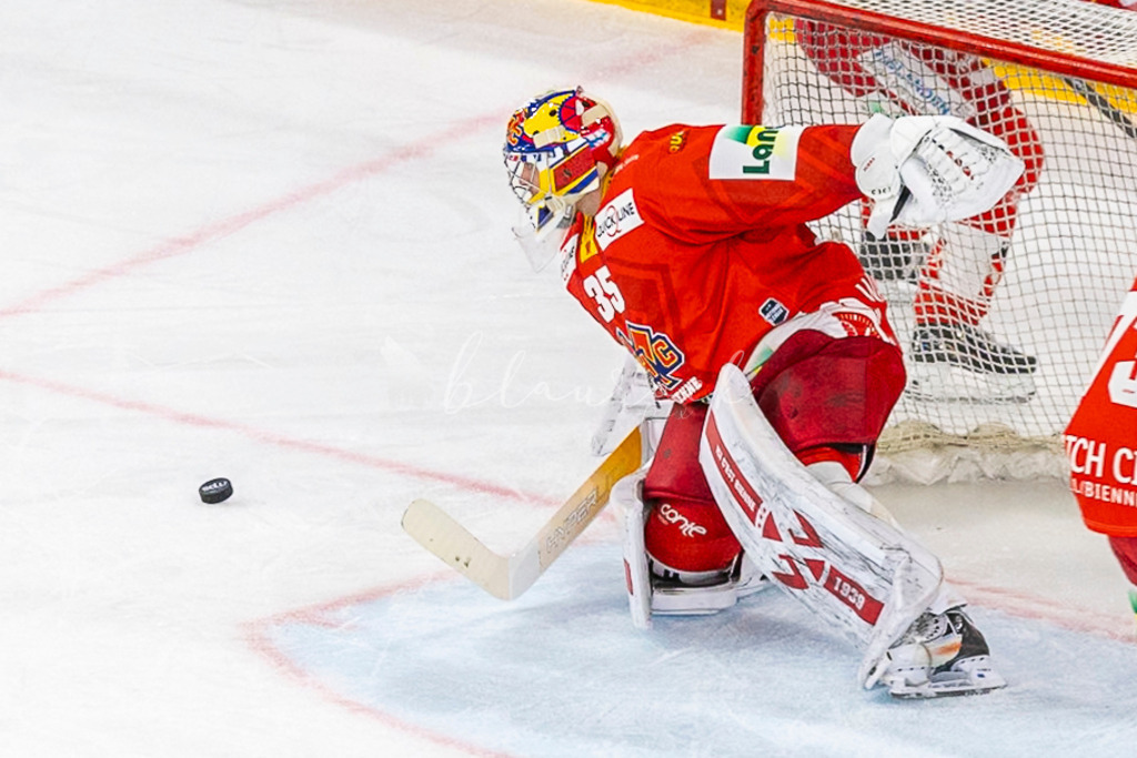 EHCB vs EVZ 20260227_WB-7370 | Sportbilder, Sportfotograf, Hochzeits- und Eventfotografin, Flugshows, Portraits und Tiershooting, Aviation, Downhill, Nationalleague, Swissleague, International