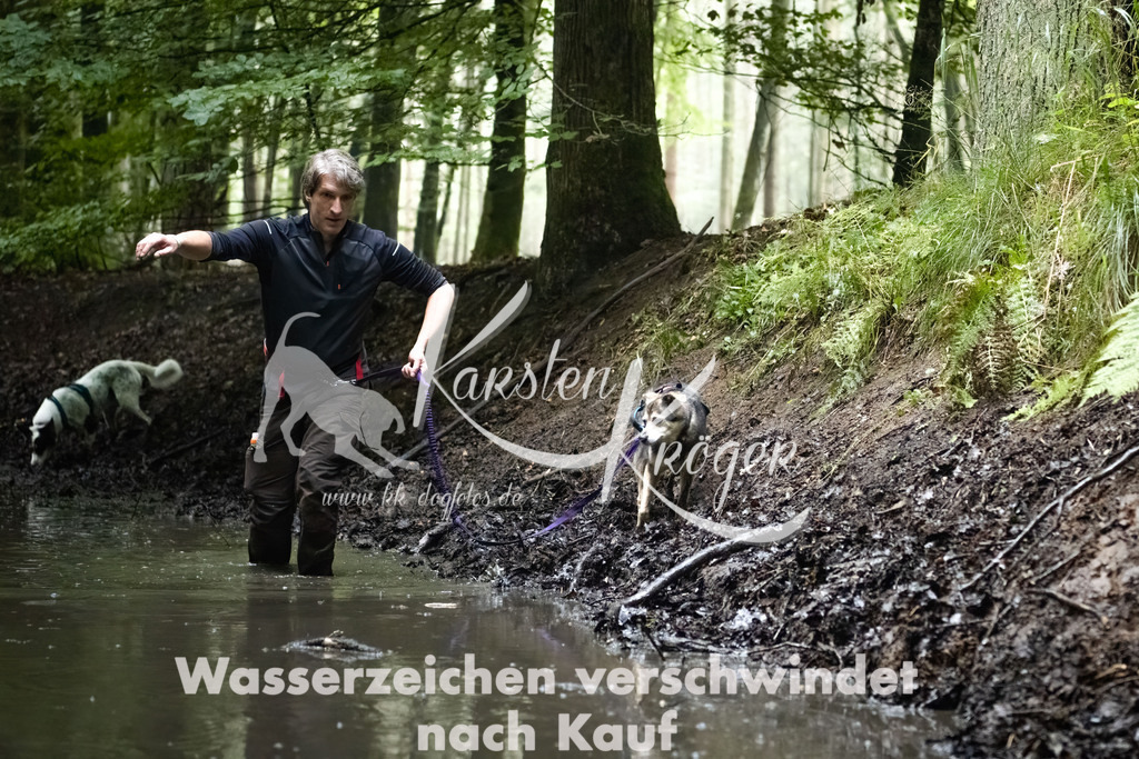 1246_ZZ91379-Bearbeitet | kk-dogfotos