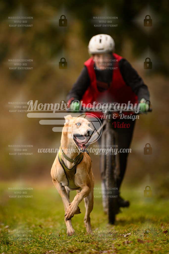 MompixPhotography_2SSTSSBW_2025_SO_Scooter-39 | PayLife