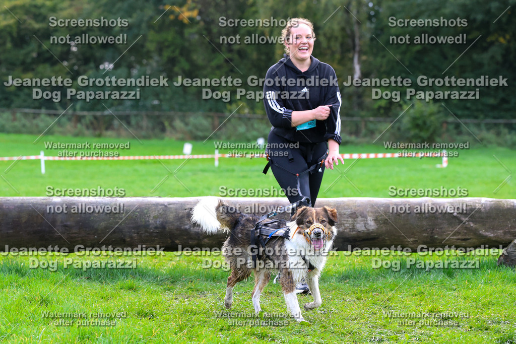 Dog Paparazzi -  SD1026-2127 | Dog Paparazzi Jeanette Grottendiek Fotografie & Videografie - Realisiert mit Pictrs.com