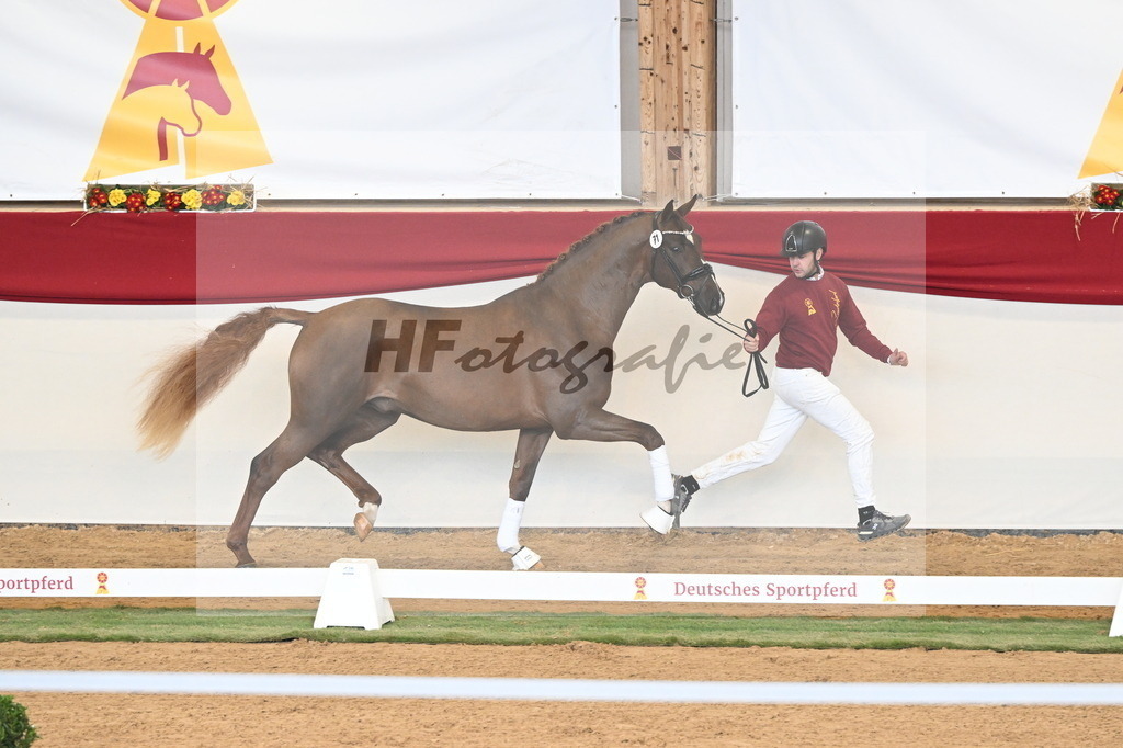 Kat.-Nr. 71 v. Quaterback_Niehe_3260977 | hf-fotografie - Realizzato con Pictrs.com