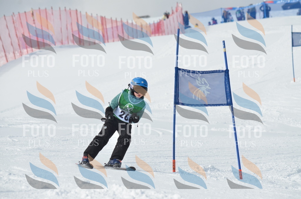 D8613 | holidayphoto