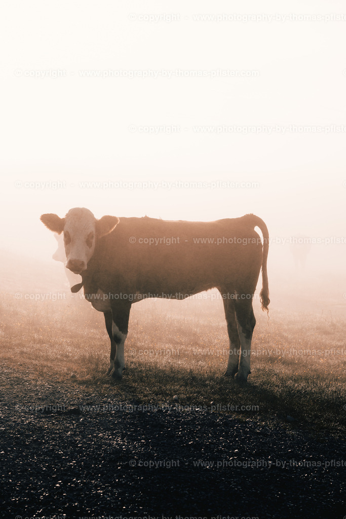 Sonnenaufgang Granatkapelle Penken copyright  Thomas Pfister-28 | PHOTOGRAPHY BY THOMAS PFISTER